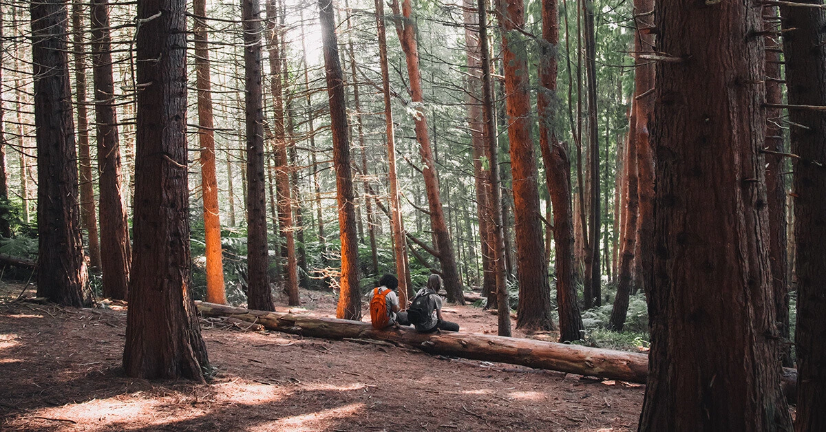 Sequoia National Park