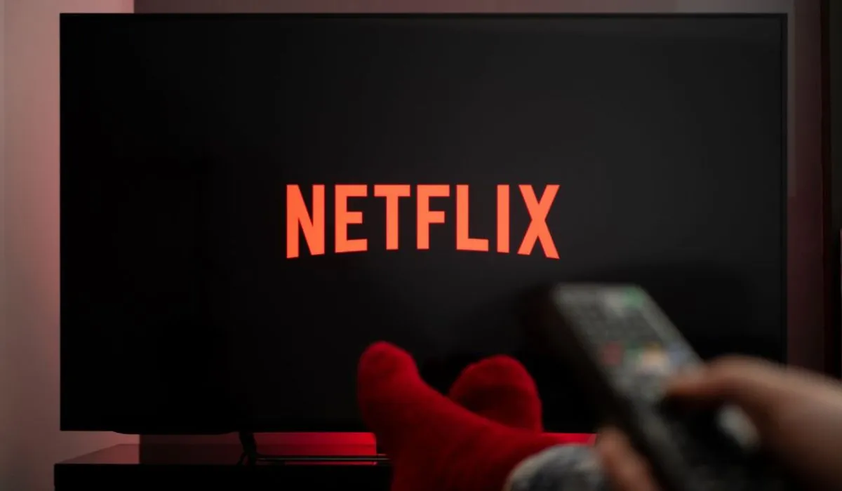 Netflix Password Sharing